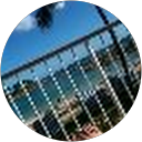 lily gm profile picture