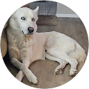 tyler palmer profile picture